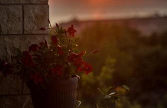 Holiday House DM - Foto 32