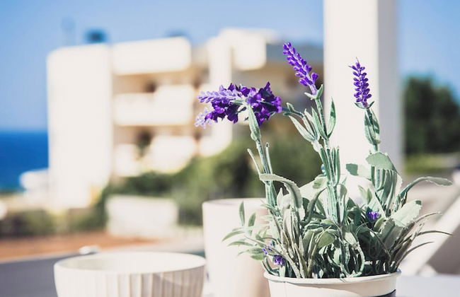 Starlight Villa Tropea - 4bd, 4ba, 4min To Beach - Foto 45