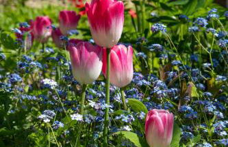 Cliff House Holiday Cottages - Foto 56