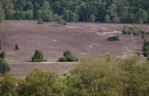 Ferienhaus Wahlers - Foto 40