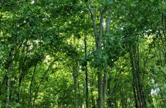 Castelo Do Castro - Foto 16