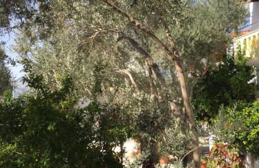 Livanina apartments - Foto 39