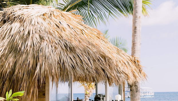 Elegant and Spacious Penthouse With Ocean View - Foto 2, Exterior