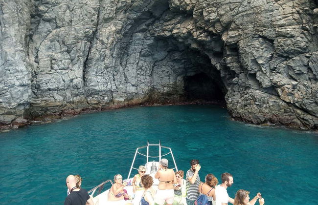 Los Cristianos Whale + Dolphin Watching Boat Tour - Photo 6