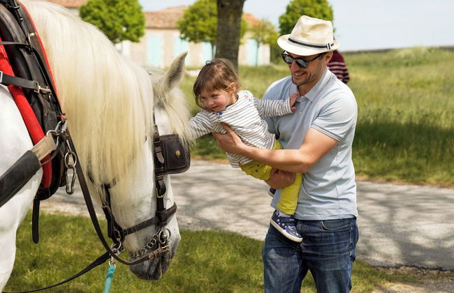 VVF Île de Ré Sainte-Marie-de-Ré - Foto 33