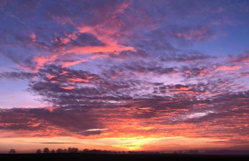 Feriendomizil Hohendorf - Photo 12