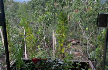 Rancho Aroeira - Foto 15