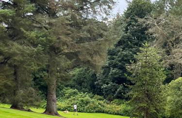 Lovely Carlung House - Foto 22