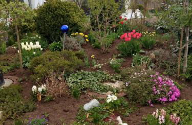 Eistobel und Felderhalde - Foto 21