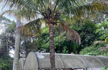 Chácara PALOMA - Foto 27