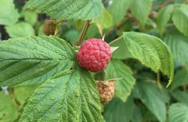 Downtown Beach & Ski Pad - Foto 25