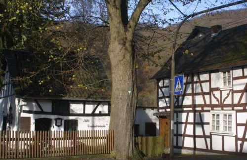 Apartment Chalet Wiedfluh in Waldbreitbach by Interhome - Foto 23