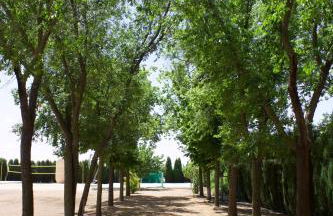 Lujosa casa en la cuna del Quijote - Photo 9