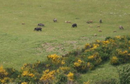 Ferienwohnung Dürbaum - Photo 34