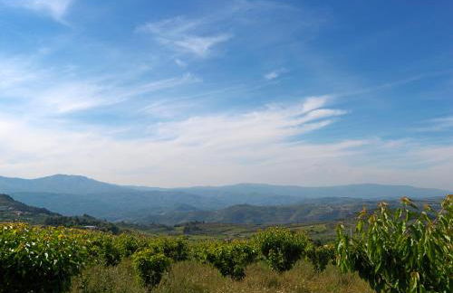 Quinta da Pereira - Foto 18