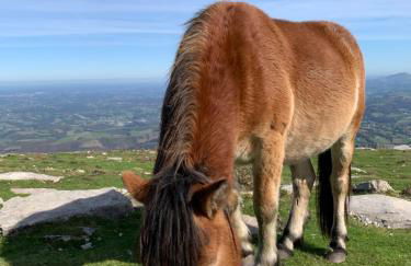 LES HAUTS DE BIANTENIA AVEC WIFi - Foto 46