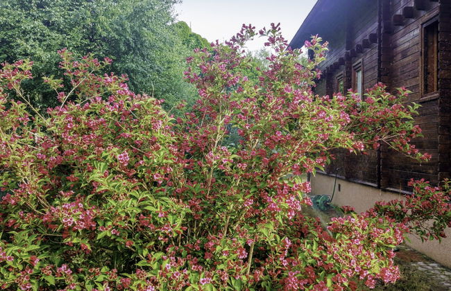 Jantarowo II - Foto 3