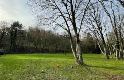 FeWo Phönixhütte am Baldeneysee in Kupferdreh - Foto 29