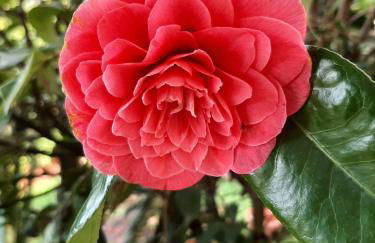 Appartamento Carla - Foto 7