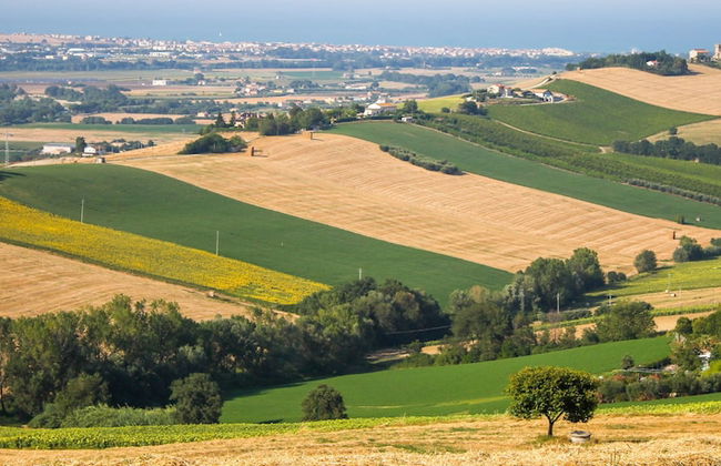 La Viola e il Sole - Foto 36