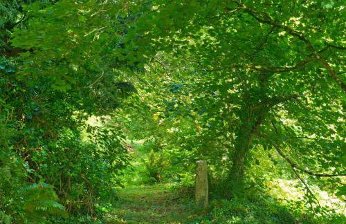 Hillside Studio - Photo 26