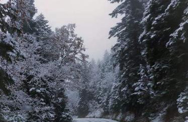 Άγρια Λούλουδα Κατοικία Αρμονία - Photo 53