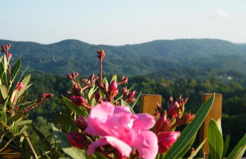 Domus Antiqua - Foto 35