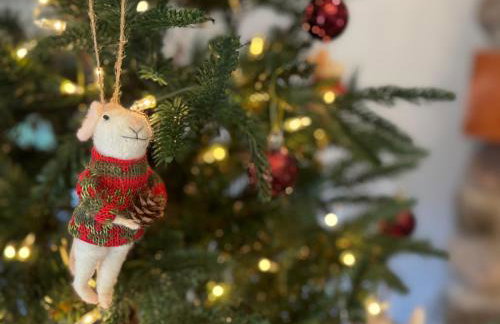 Bella and Dulce's Lakehouse by Juniper Holiday + Home - Foto 13