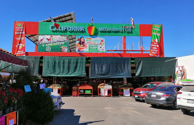 Beautiful Apartment Calle Tordo - Photo 31