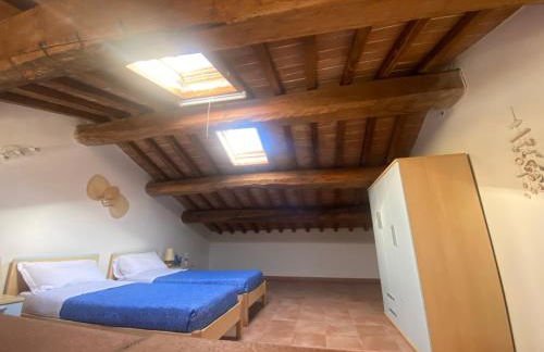 civico 132 - Foto 10