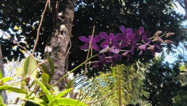 Casa de Praia com Varandao Gourmet a 5 min do Mar - Foto 5