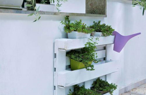 Residence Conchiglia San Giovanni - Foto 18