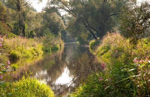 KaSa Pöllmann - Foto 21