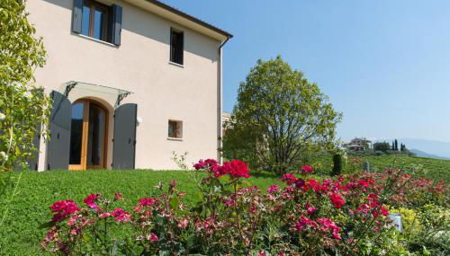 Villa Prosecco - Foto 5