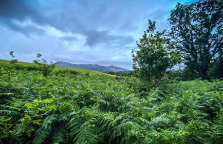 MotoCamp Wales -Camping Pods - Foto 37