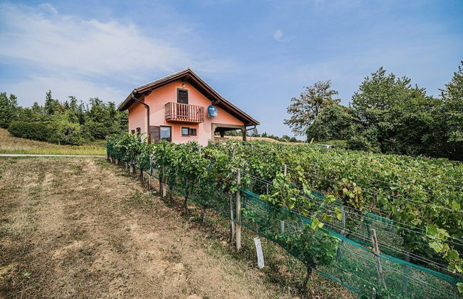 Holiday Home Vesna with Sauna - Foto 31