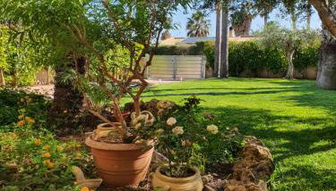 Luna Marina Beach House - Foto 2, Garden view