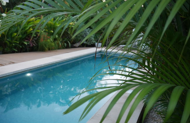 Cote Pacific Casitas - Photo 29