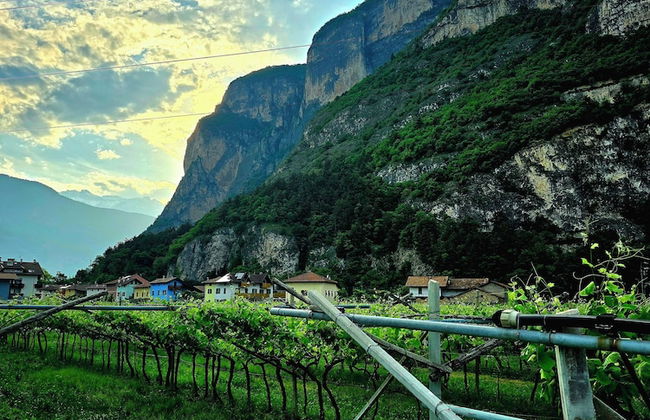 Antico Fienile Agritur - Foto 42