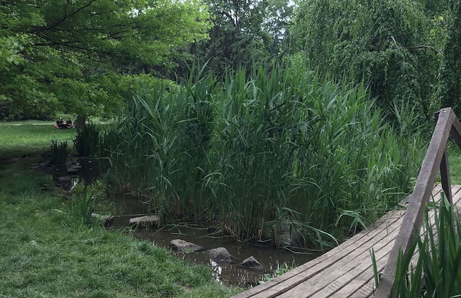 Euro Apartments Lidická 39 Brno - Foto 47