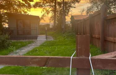 Pwllglas Bach - Spacious Cabin - Photo 8