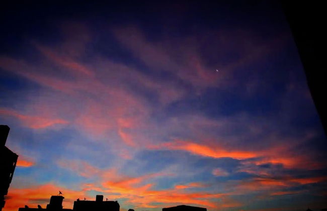 Room in Apartment - Best Price In Downtown, Walk Everywhere - Foto 18