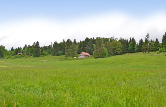 Chalet la Frêtaz - Foto 29