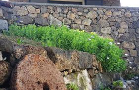 Vila Paim - Photo 38