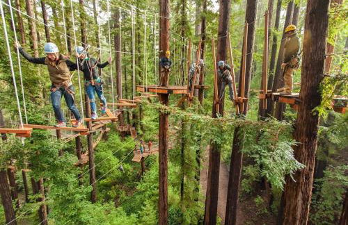 Evergreen Escape - Foto 48