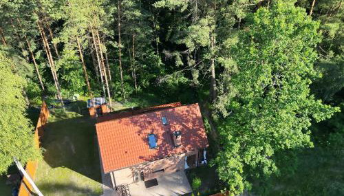 Ceglany Domek z jacuzzi, nad jeziorem, przy lesie - Foto 4