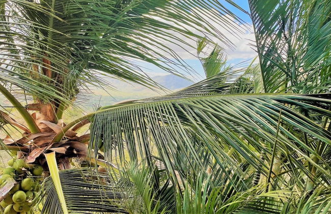 Playa Potrero 4 BR Home Large Saltwater Pool Spectacular Views - Villa Oasis - Foto 34