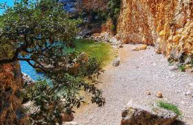 Guesthouse Villa Brestova - Foto 35