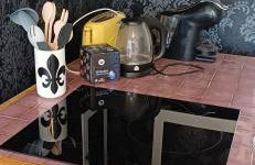 Beauval Saint Aignan,châteaux de la Loire gîte Le Royaume Sauvage - Foto 13