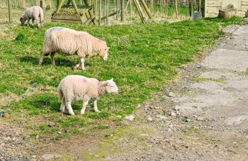 Ty Olwyn Bach - Uk36418 - Foto 7